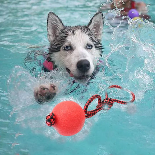 Gummi-Hundeball für Große Hunde - Bissfest & Elastisch für Zahnpflege